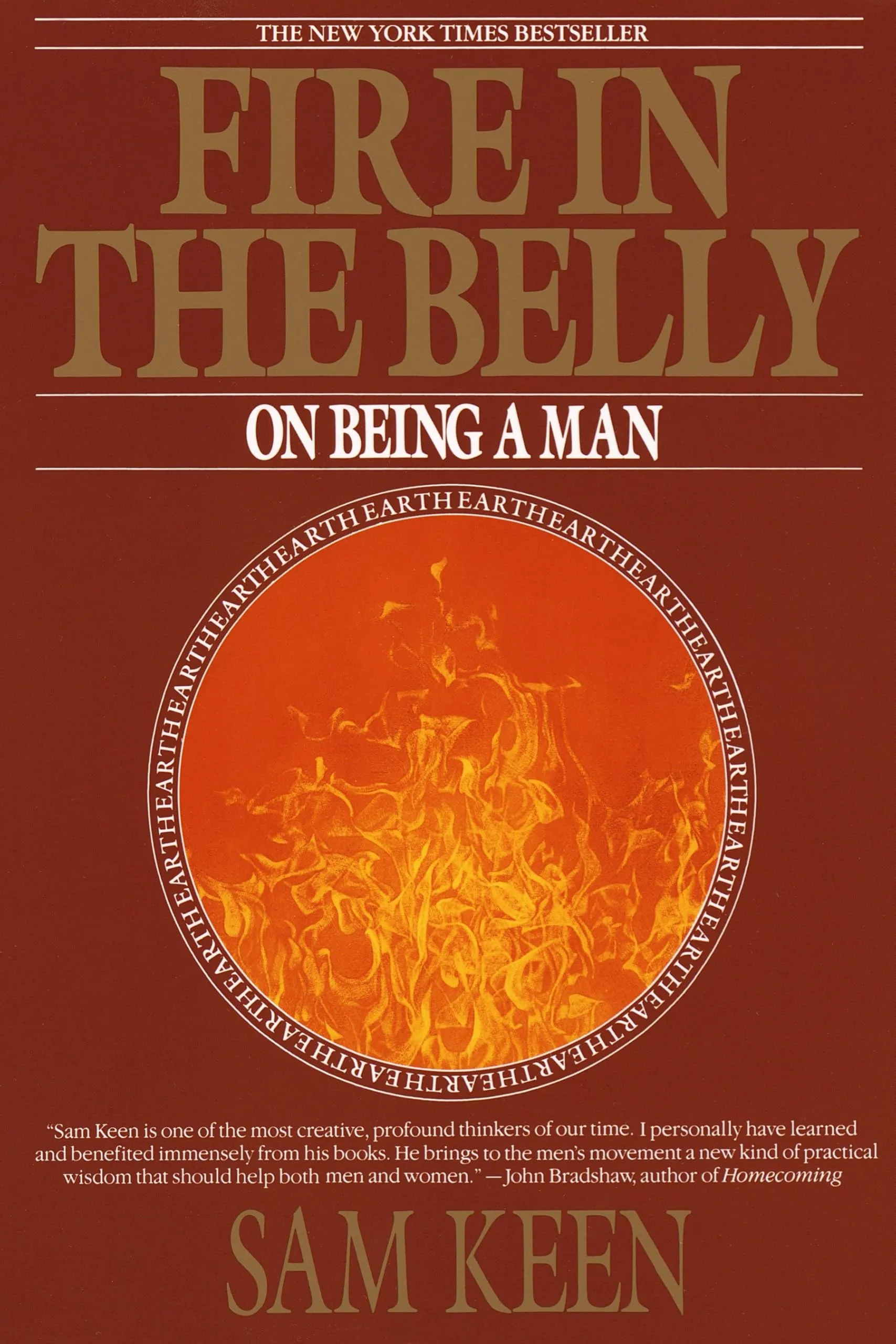 Capa do livro Fire in the Belly